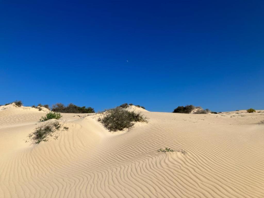 Appartement Casa Sonia Corralejo